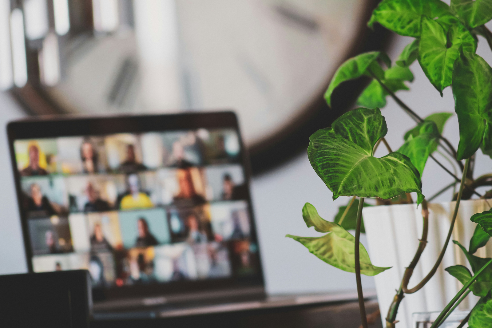 Laptop mit Online-Meeting, dekorative Elemente